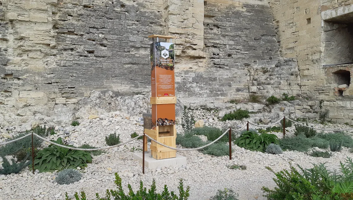 На башне Папского дворца в Авиньоне стоят ульи, и городские пчёлы обгоняют деревенских